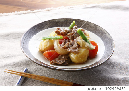 お皿に盛り付けた肉じゃが　一人分 102499883