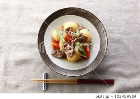 お皿に盛り付けた肉じゃが　一人前 102499884