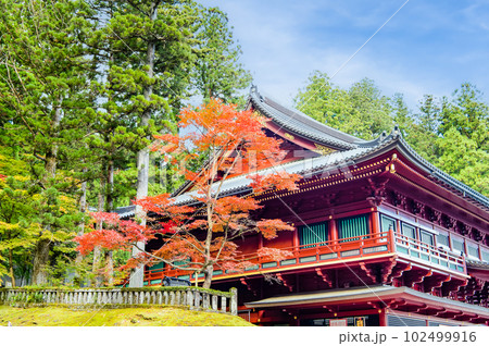 栃木 日光山輪王寺　～大護摩堂～ 102499916