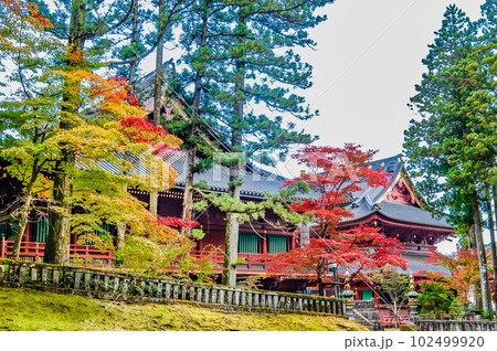 栃木 日光山輪王寺　～大護摩堂～ 102499920
