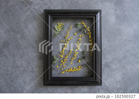 ミモザとフレームのインテリア ミモザとフレームのインテリア 102500327