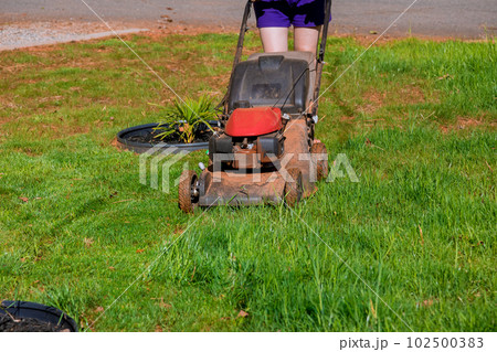 During mowing green grass in backyard with lawn mower around house 102500383