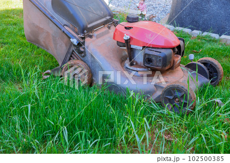 Woman is seen mowing green lawn in her backyard with lawn mower located close to her home Woman is seen mowing green lawn in her backyard with lawn mower located close to her home 102500385