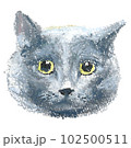 グレーの成猫の顔　手描きオイルパステル 102500511