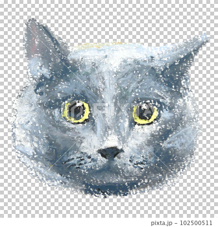 灰色成年貓臉手繪油畫棒 102500511