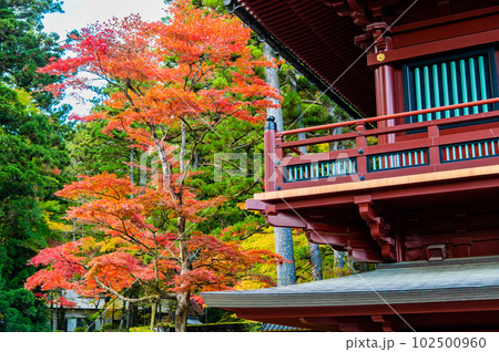 栃木 日光山輪王寺 ~大護摩堂の紅葉~ 栃木 日光山輪王寺 ~大護摩堂の紅葉~ 102500960