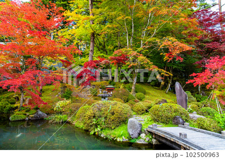 栃木 日光山輪王寺　～紅葉の日本庭園～ 102500963