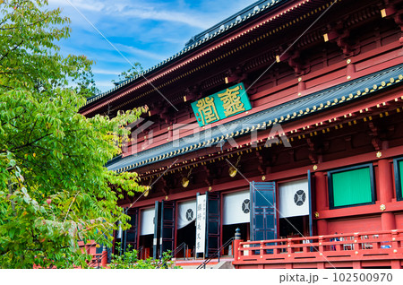 栃木 日光山輪王寺　～三仏堂～ 102500970