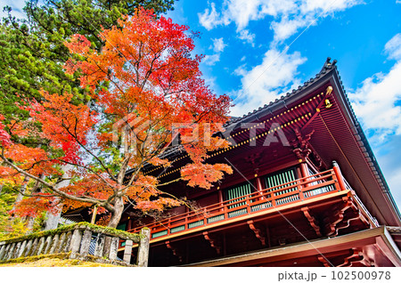 栃木 日光山輪王寺　～紅葉の大護摩堂～ 102500978
