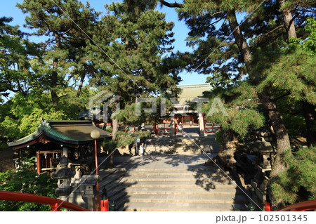 日本の大阪市にある住吉大社の境内の反橋（そりはし）から眺めた境内入り門の風景 102501345