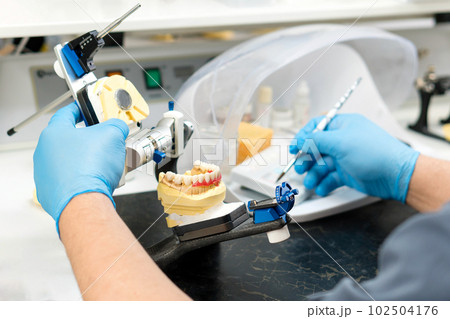 Dental prosthesis work. Teeth painting. 102504176