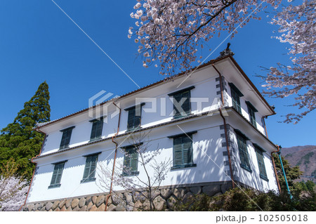 旧園里学校の桜 102505018