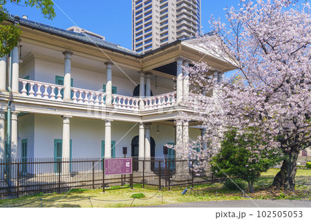 泉布観 満開の桜(大阪市北区) 泉布観 満開の桜(大阪市北区) 102505053