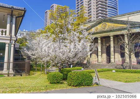 旧桜宮公会堂（旧造幣寮鋳造所正面玄関）　満開の桜 102505066