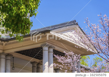 泉布観 満開の桜(大阪市北区) 泉布観 満開の桜(大阪市北区) 102505070