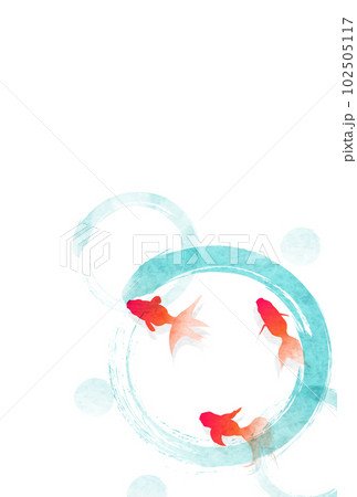 金魚　和柄　背景　暑中見舞い 102505117