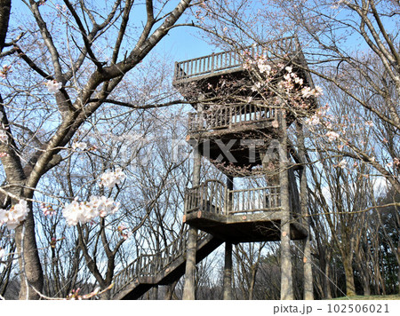 栃木県芳賀郡芳賀町　冨士山自然公園 102506021