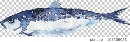 魚沙丁魚 魚沙丁魚 102506028