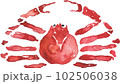 蟹 102506038