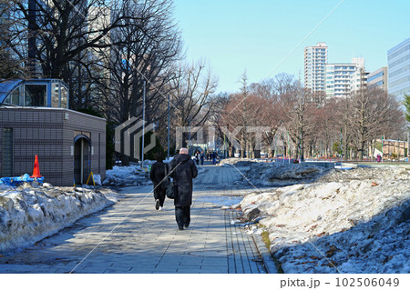 雪解けが進む大通公園 雪解けが進む大通公園 102506049
