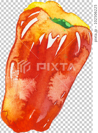 red bell pepper watercolor 102506225