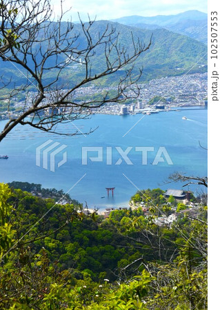 山中からの大鳥居 102507553