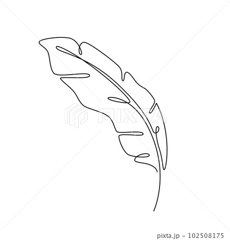 FEATHER LEAF LINE ART. Vector Feather Continuous Line Drawing. Vector illustration with banana leaf FEATHER LEAF LINE ART. Vector Feather Continuous Line Drawing. Vector illustration with banana leaf 102508175