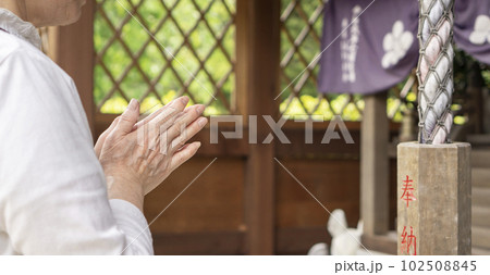 日本の神社でお参りをするシニア女性 102508845