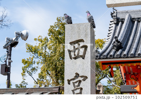西宮神社 102509751