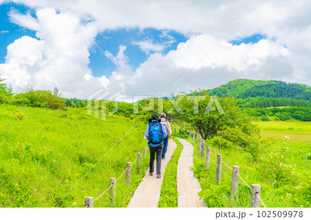 【夏素材】天空の湿原・夏の八島ヶ原湿原【長野県】 102509978