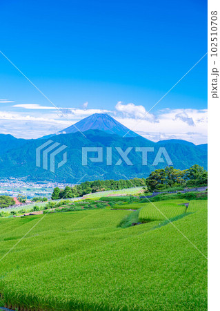 【夏素材】中野の棚田から見る富士山【山梨県】 102510708