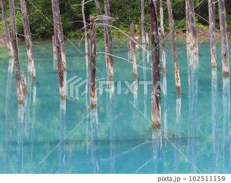 美唄町にある観光地「青い池」 美唄町にある観光地「青い池」 102511159