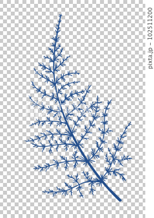 Fern. Blue. Botanical illustration. Engravin style. Foliage. Outline illustration without fill. 102511200