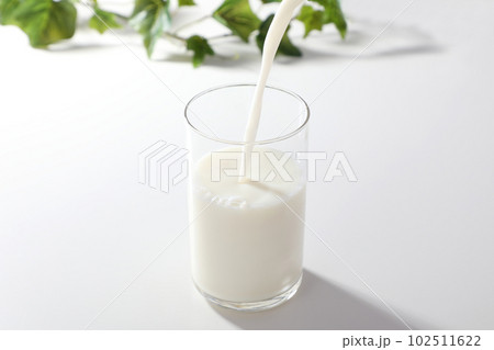 グラスに注がれた牛乳 102511622