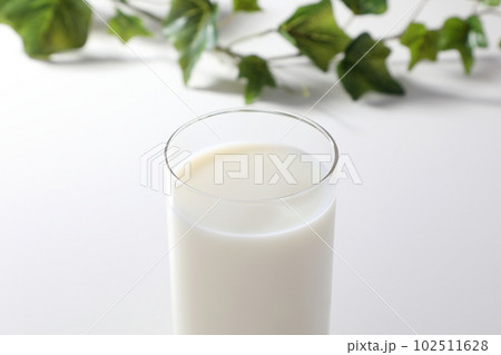 グラスに注がれた牛乳 102511628