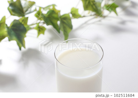 グラスに注がれた牛乳 102511684