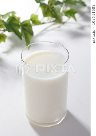 グラスに注がれた牛乳 102511685