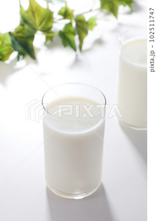 グラスに注がれた牛乳 102511747