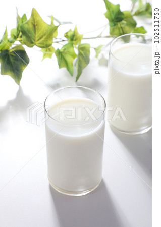グラスに注がれた牛乳 102511750