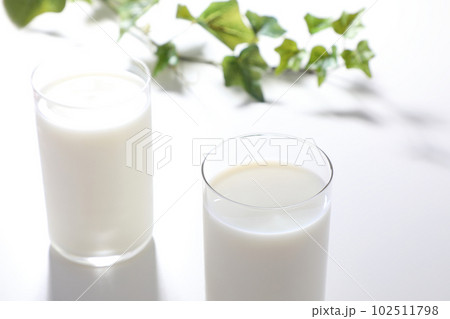 グラスに注がれた牛乳 102511798