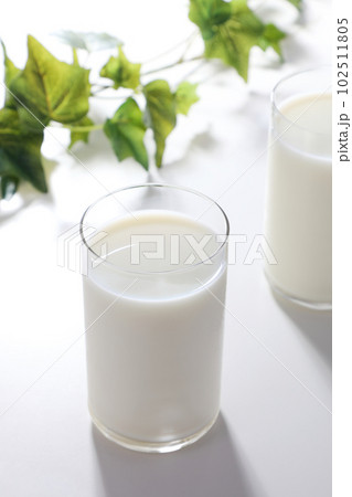 グラスに注がれた牛乳 102511805