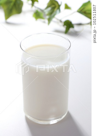 グラスに注がれた牛乳 102511807