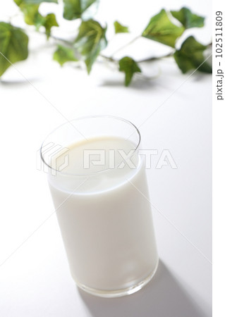 グラスに注がれた牛乳 102511809