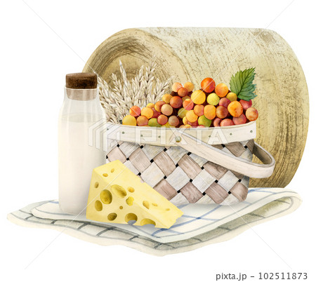 Watercolor Shavuot picnic with wicker basket. Milk, wheat, grapes, cheese, blanket, rolled hay. Dairy farm illustration 102511873