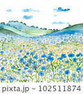 ネモフィラの花畑の水彩イラスト 102511874
