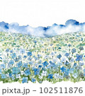 ネモフィラの花畑の水彩イラスト 102511876