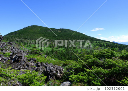 夏の北八ヶ岳坪庭 102512001