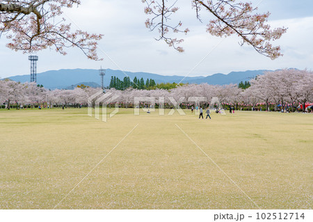 春の忠元公園 102512714