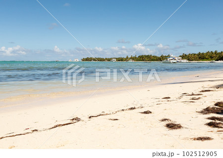 Bavaro beach in sunny day with calm ocean and white  beach, Dominican republic 102512905