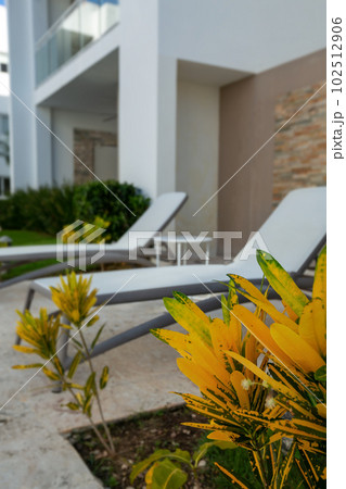 Backyard with swimming pool, nobody 102512906